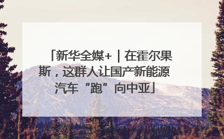 新华全媒+｜在霍尔果斯，这群人让国产新能源汽车“跑”向中亚