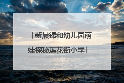 新晨锦和幼儿园萌娃探秘莲花街小学