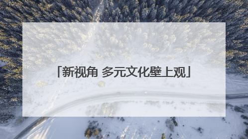 新视角 多元文化壁上观