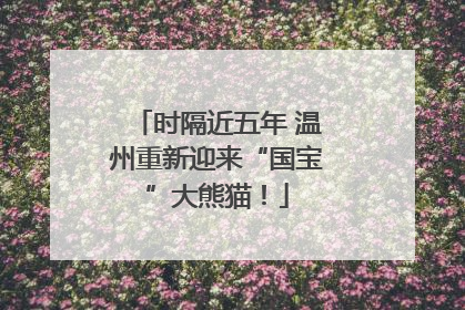 时隔近五年 温州重新迎来“国宝”大熊猫！