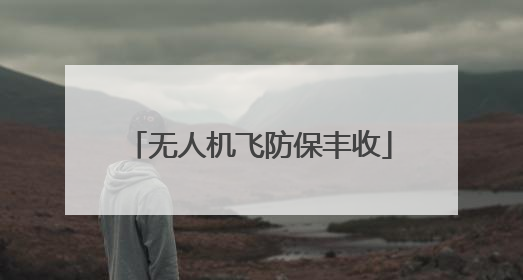无人机飞防保丰收