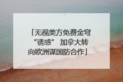 无视美方免费金穹“诱惑” 加拿大转向欧洲谋国防合作