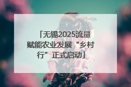 无锡2025流量赋能农业发展“乡村行”正式启动