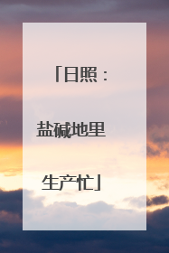 日照：盐碱地里生产忙
