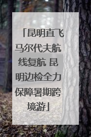 昆明直飞马尔代夫航线复航 昆明边检全力保障暑期跨境游