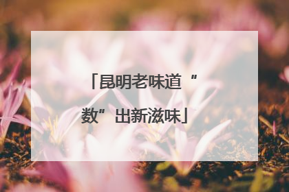 昆明老味道“数”出新滋味