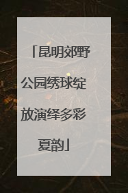 昆明郊野公园绣球绽放演绎多彩夏韵