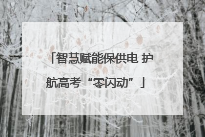 智慧赋能保供电 护航高考“零闪动”