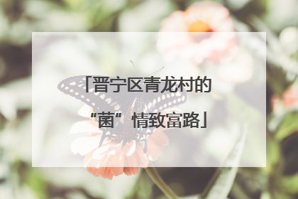 晋宁区青龙村的“菌”情致富路