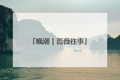 晚潮｜蔷薇往事