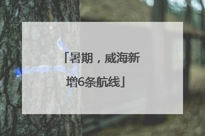 暑期，威海新增6条航线
