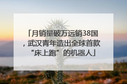 月销量破万远销38国，武汉青年造出全球首款“床上跑”的机器人