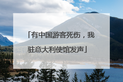有中国游客死伤，我驻意大利使馆发声