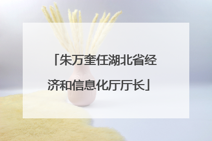 朱万奎任湖北省经济和信息化厅厅长