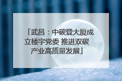武昌：中碳登大厦成立楼宇党委 推进双碳产业高质量发展