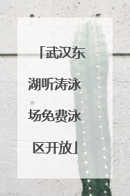 武汉东湖听涛泳场免费泳区开放