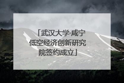 武汉大学·咸宁低空经济创新研究院签约成立