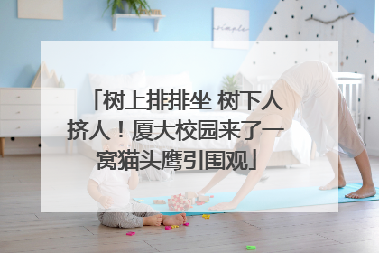 树上排排坐 树下人挤人！厦大校园来了一窝猫头鹰引围观