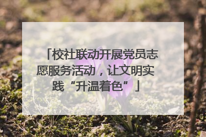 校社联动开展党员志愿服务活动，让文明实践“升温着色”