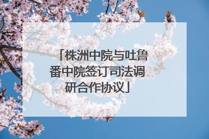 株洲中院与吐鲁番中院签订司法调研合作协议