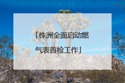 株洲全面启动燃气表首检工作