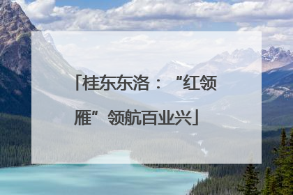 桂东东洛：“红领雁”领航百业兴