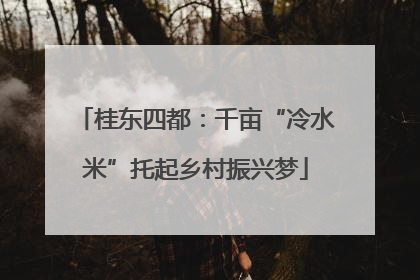 桂东四都：千亩“冷水米”托起乡村振兴梦