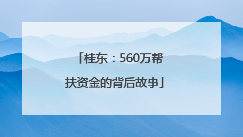 桂东：560万帮扶资金的背后故事