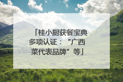桂小厨获餐宝典多项认证：“广西菜代表品牌”等