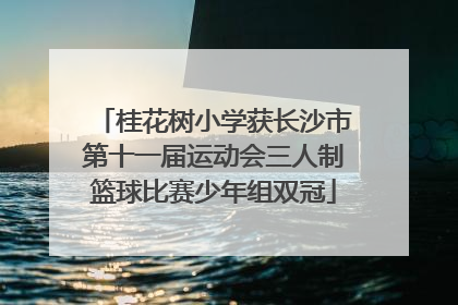 桂花树小学获长沙市第十一届运动会三人制篮球比赛少年组双冠