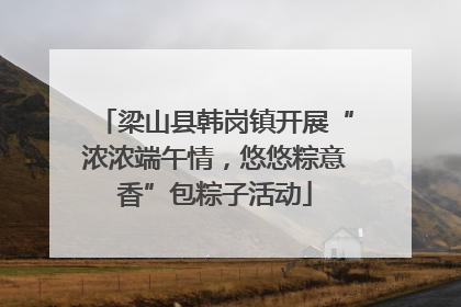 梁山县韩岗镇开展“浓浓端午情，悠悠粽意香”包粽子活动