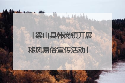 梁山县韩岗镇开展移风易俗宣传活动