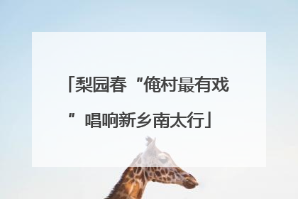 梨园春“俺村最有戏”唱响新乡南太行