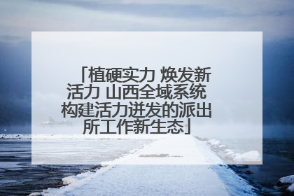 植硬实力 焕发新活力 山西全域系统构建活力迸发的派出所工作新生态