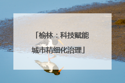 榆林：科技赋能城市精细化治理