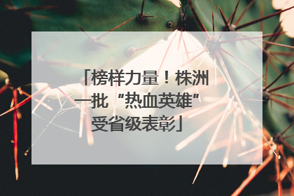 榜样力量！株洲一批“热血英雄”受省级表彰