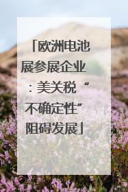 欧洲电池展参展企业：美关税“不确定性”阻碍发展