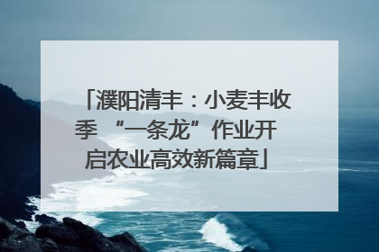 濮阳清丰：小麦丰收季 “一条龙”作业开启农业高效新篇章