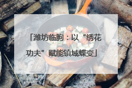 潍坊临朐：以“绣花功夫”赋能镇域蝶变
