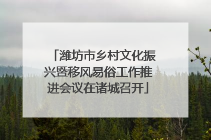 潍坊市乡村文化振兴暨移风易俗工作推进会议在诸城召开