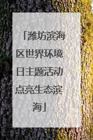潍坊滨海区世界环境日主题活动点亮生态滨海