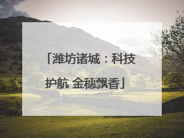 潍坊诸城：科技护航 金穗飘香