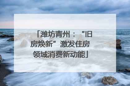 潍坊青州：“旧房焕新”激发住房领域消费新动能