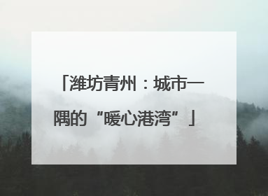 潍坊青州：城市一隅的“暖心港湾”