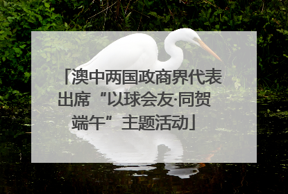 澳中两国政商界代表出席“以球会友·同贺端午”主题活动