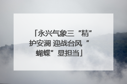 永兴气象三“精”护安澜 迎战台风“蝴蝶”显担当