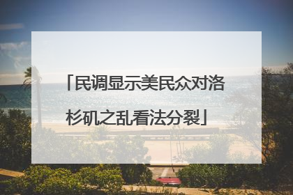 民调显示美民众对洛杉矶之乱看法分裂