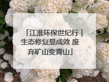 江淮环保世纪行｜生态修复显成效 废弃矿山变青山