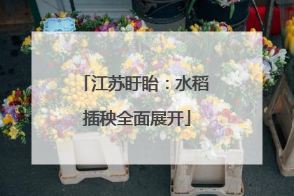 江苏盱眙：水稻插秧全面展开