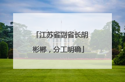 江苏省副省长胡彬郴，分工明确